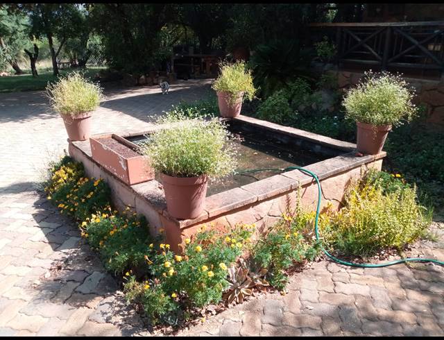 12HA SMALLHOLDING FOR SALE IN GROOTFONTEIN
